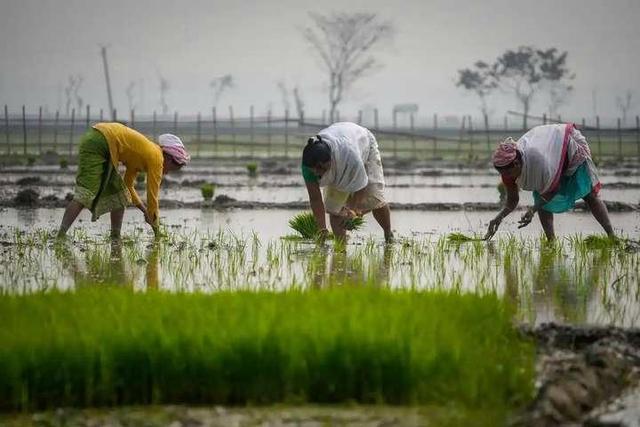 不想再活在中国的阴影下	，印度一口气批了4000亿，准备赌一把大的