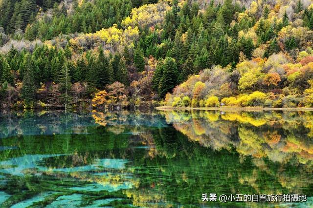 九寨沟秋季赏枫！10 月下旬高光期必看，新徒步线 + 隐藏机位全解锁