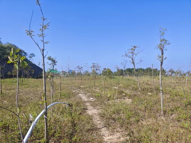 塘朗山郊野公园[绿平二路入口]骑行爬坡好地方