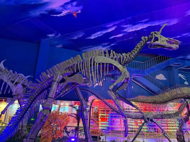 潍坊人有自己的“疯狂动物城”！冲！冲！冲！