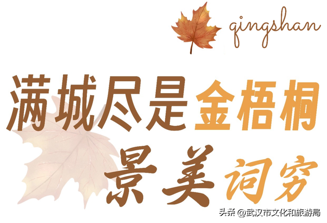 大降温后，青山最美冬景即将上线！