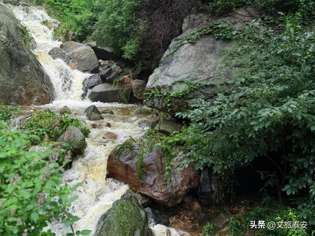 泰山雨后云雾织仙境！泼墨山水里藏着夏日最治愈的奔赴
