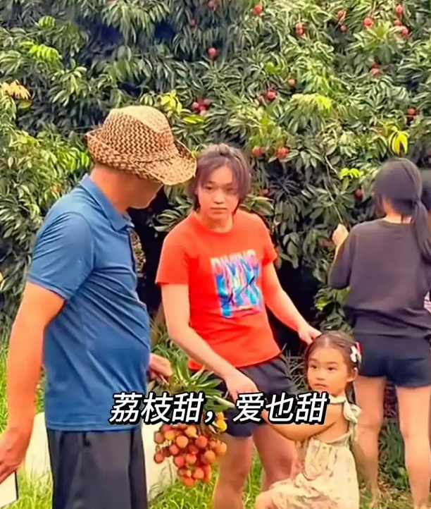 退赛5个月，全红婵传喜讯，人民日报亲自官宣，高敏的话有人信了
