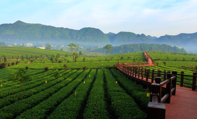 跟着赛事游遵义 | 山水疗愈之旅，藏着最治愈的慢生活！