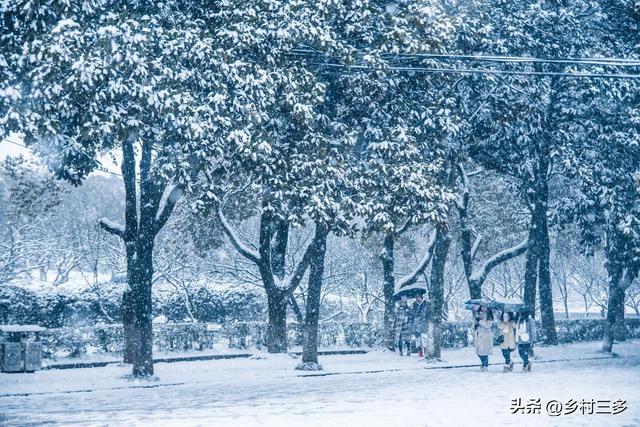 “有雪无雪，就看冬至”，今日冬至，今冬雪多冷到哭？看农谚咋说