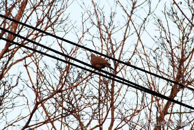 这一次外出闲游感慨颇多