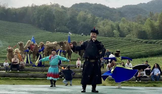 驼铃响江南~阿拉善驼队走进绍兴坡塘村，村书记大呼“我们成骆驼村啦！”