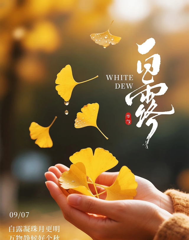 白露图片海报文案，白露朋友圈祝福问候语句子