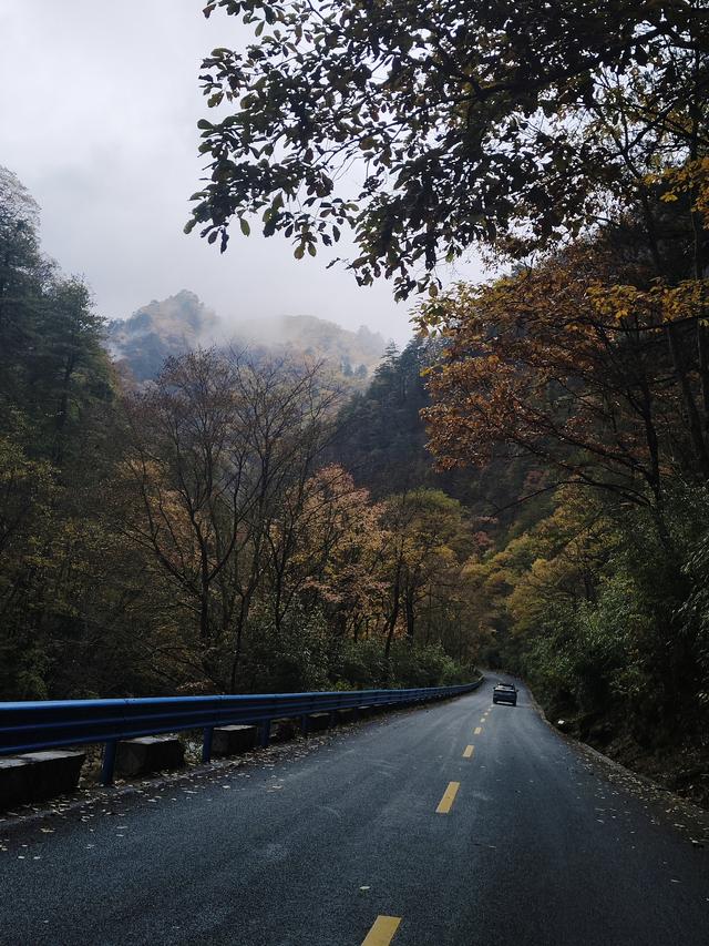 南行漫记：329公里的穿越之路，带你一起看红叶