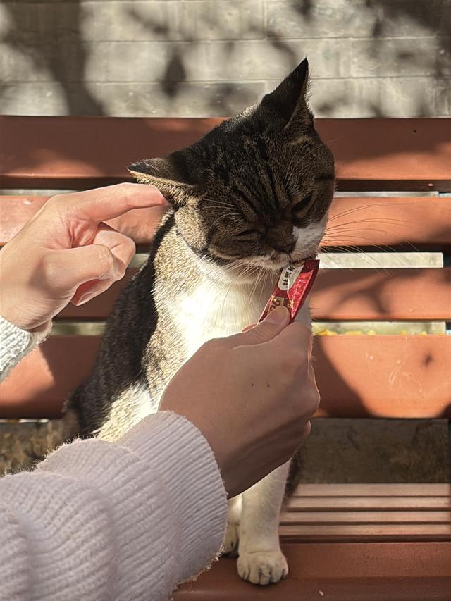 博物FUN | 大觉寺：千年古刹的禅意与新生