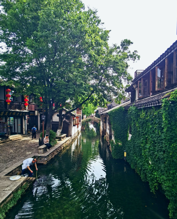 8年烧光50个亿！从人满为患到无人问津，全国古镇为啥批量倒闭？