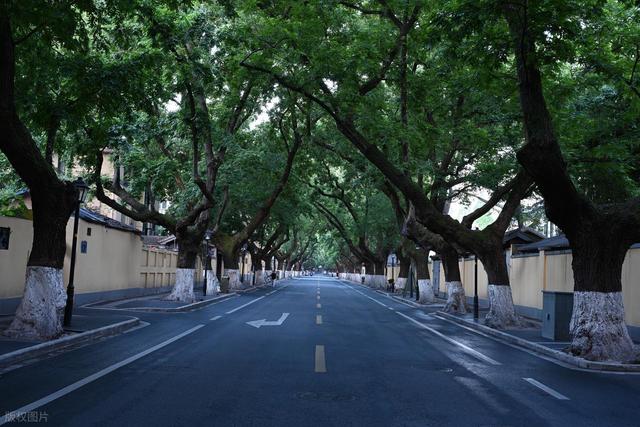 南京最值得去的10个免费景点推荐，不花一分钱玩转金陵城！快码住