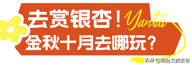 【乐游烟台】十月好去处丨别眨眼！接下来的烟台美到封神