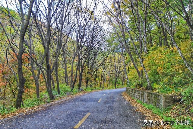 周末逃离人潮！京郊“小喀纳斯”喇叭沟门赏秋指南