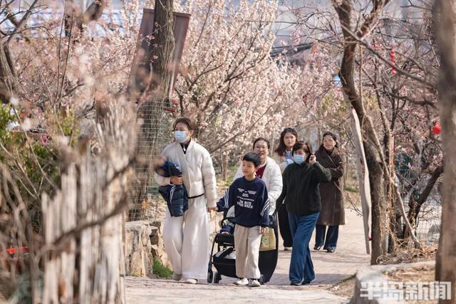 青岛有个宝藏山村火了!这里的“飞花市集”好看又好逛,村舍小院家家有创意,吸引大量游客蜂拥而至…