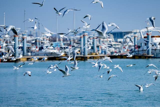 明天！就在白鹭湾！