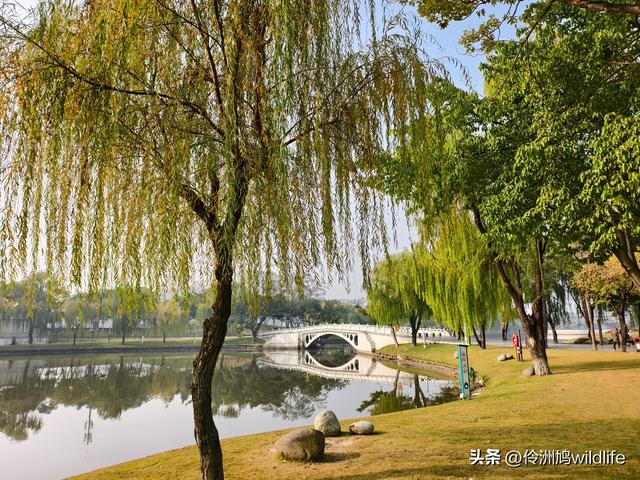 四川行(75)广汉②金雁湖公园·黑塔街·龙居寺