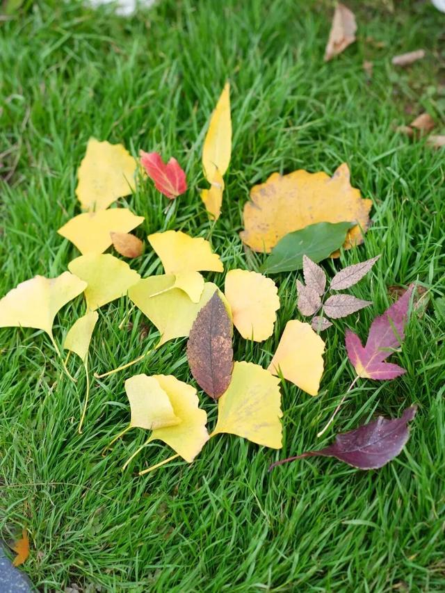 我捡，我捡，我在潍坊捡捡捡！