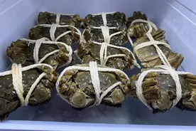 保持活螃蟹时，直接放冰箱大错，老蟹农教你2招，放一周鲜活肥美图片