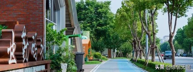 阳光正好！一起来梁溪散步吧～