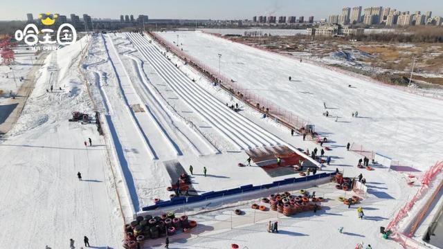 瞒不住了！嬉雪撒欢儿地+1，12.14 开嗨