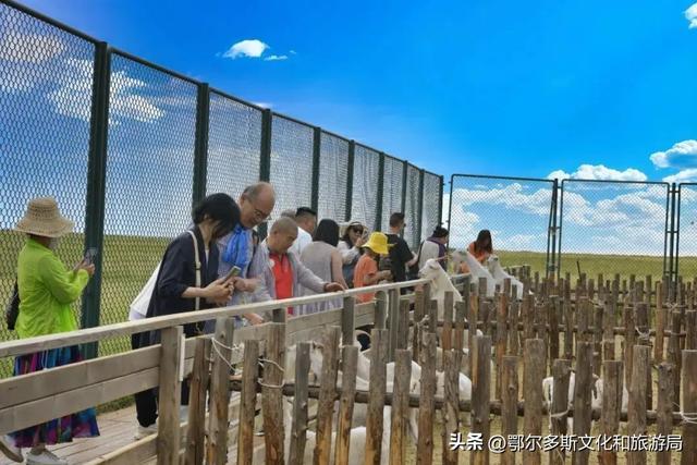银发乐游线路：杭锦旗慢游深体验