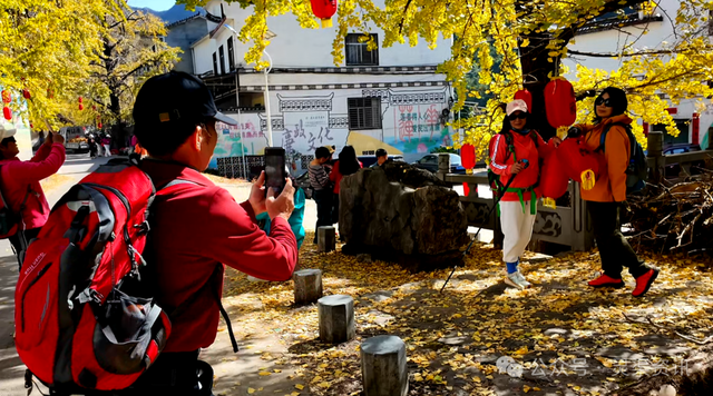 银杏古村披金纱 秦家大院引客来