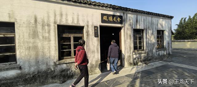 晨光与深呼吸：在同里湿地公园的万步悠然