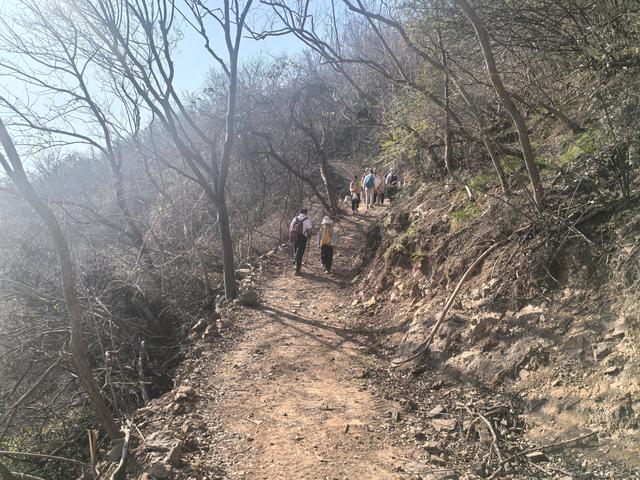 南京第二次到镇江武岐山空青山郊野徒步