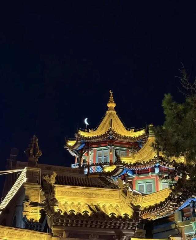 哪哪都是镜头！呼和浩特这里天一黑就爆满！