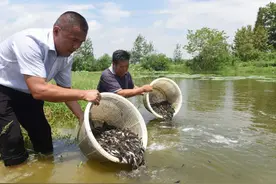 安徽一农民打工20年，抓住“一条鱼”的商机，一年进账2800万图片