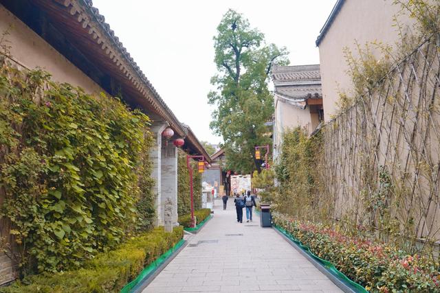 人文深度游:从礼县三国烽烟到天水文明脉络 解锁陇东南文化双坐标