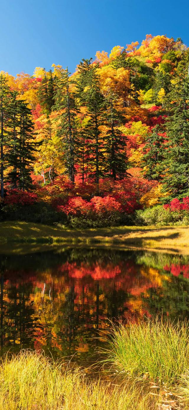 手机壁纸|秋天风光美景，自然美如画