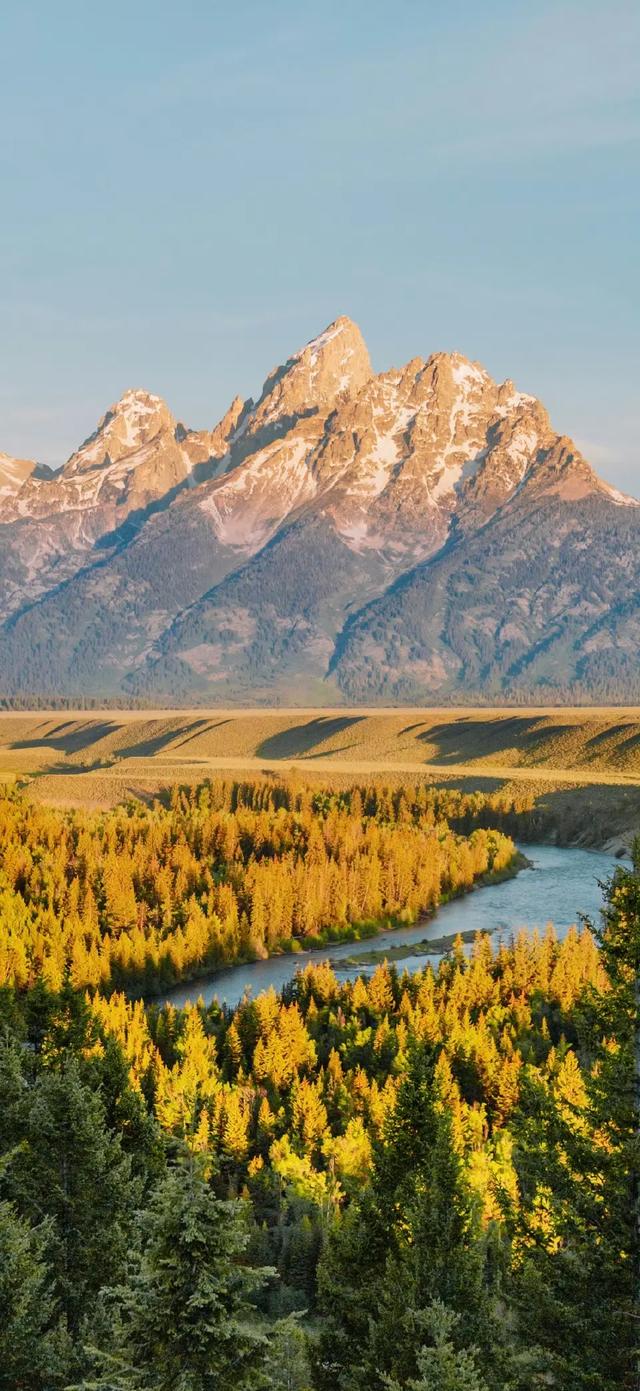 壁纸｜来去都是自由风 好运自会与我重逢