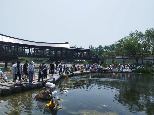 你想象不到，北京西四环旱河路无名小河沟竟然一跃成了网红打卡地