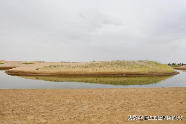 海边游记｜沙海狂飙与绿洲寻踪：内蒙古腾格里沙漠一日“历险记”