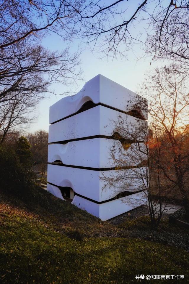 51张照片告诉你，南京的秋天有多美！