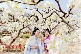 孟津区会盟镇铁炉村：梨花经济 景上添“金”图片