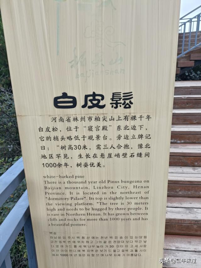 无为在歧路，壶关林州大名府9