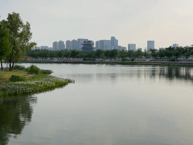上海400亿打造的网红公园，风景绝美免费参观！