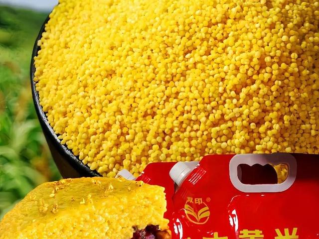 粗粮细作秋季食用黄米的好处及做法