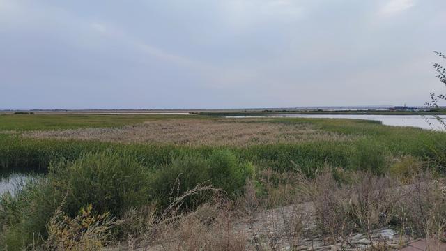 包头城南靠近黄河的昭君湖，也叫小白河景区，黄河浩渺，湖平如镜