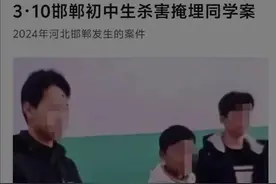 邯郸王子耀案一审宣判：三名凶手终受法律制裁图片