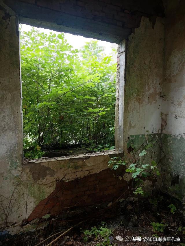 「转载」隐匿在南京老山的生化残城