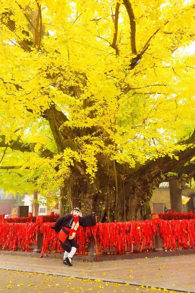 壮观！震撼！很多人都去看了！就在日照这里！