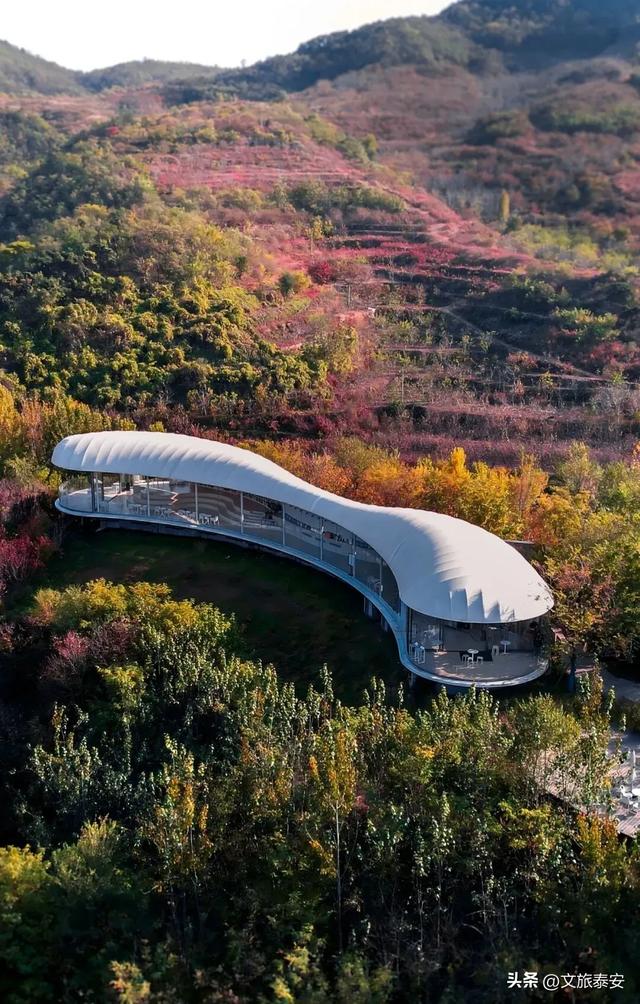 来泰安看“齐鲁超赛”！岱岳游玩双沉浸！绿茵热血碰撞山野诗意→