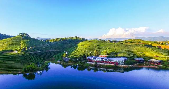 “淡季不淡、旺季更旺” 普洱冬天为何这么“热”？