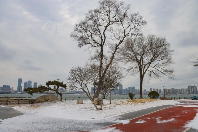 青岛西海岸新区，走进冰天雪地，今天是大寒！