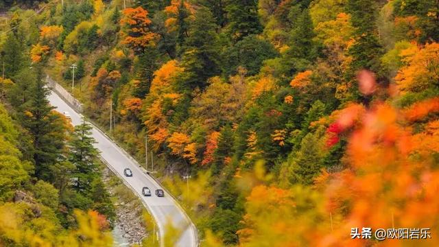 是什么让资深驴友每年秋天都偷偷跑去川西？？