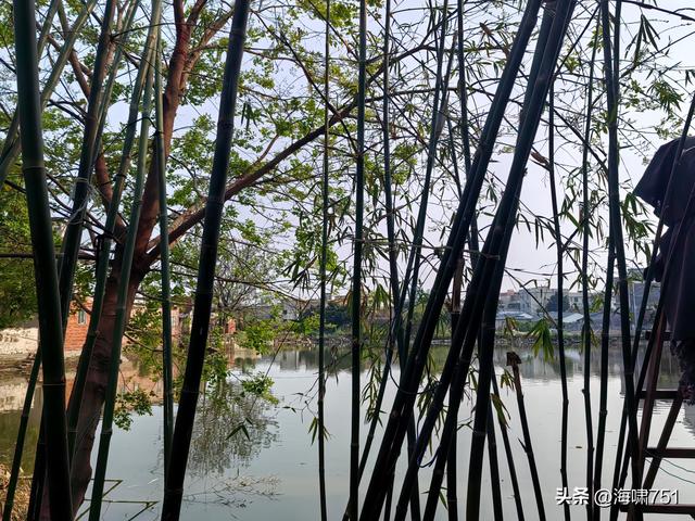 佛山伦教羊额古村